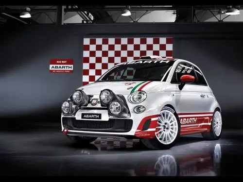 2010 Abarth 500 R3T Jigsaw Puzzle picture 98550
