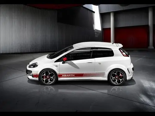 2010 Abarth Punto Evo Protected Face mask - idPoster.com