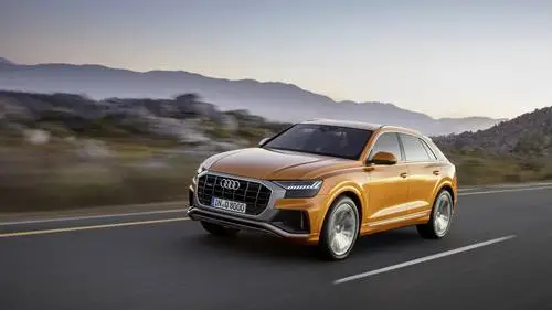 2018 Audi Q8 Protected Face mask - idPoster.com