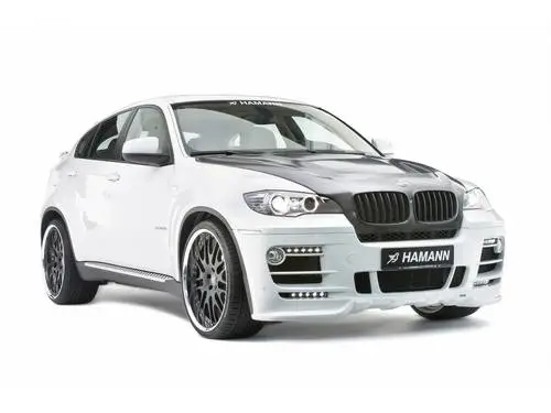 2009 Hamann BMW X6 Wall Poster picture 98935
