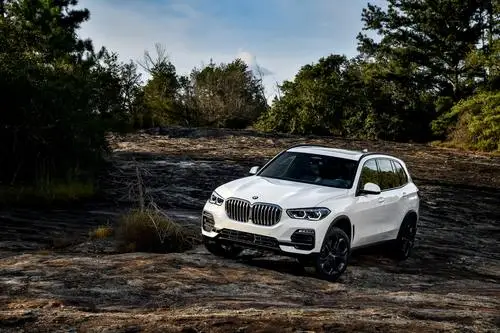 2019 BMW X5 ( G05 ) xDrive 30d Wall Poster picture 968987