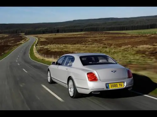2009 Bentley Continental Flying Spur Speed Jigsaw Puzzle picture 98769