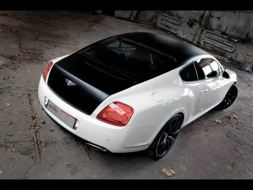 2009 Edo Competition Bentley Speed GT Image Jpg picture 98801