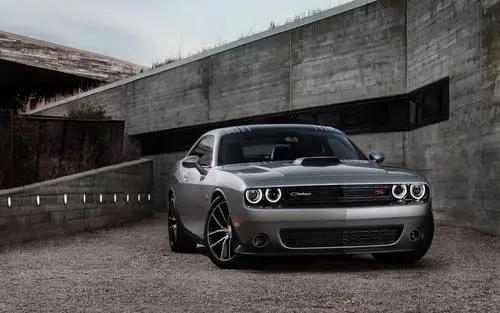 2015 Dodge Challenger Protected Face mask - idPoster.com