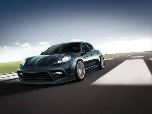 2010 Mansory Porsche Panamera Wall Poster picture 101582