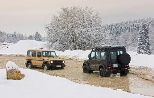 2009 Mercedes-Benz G-Class Edition30 Image Jpg picture 100741