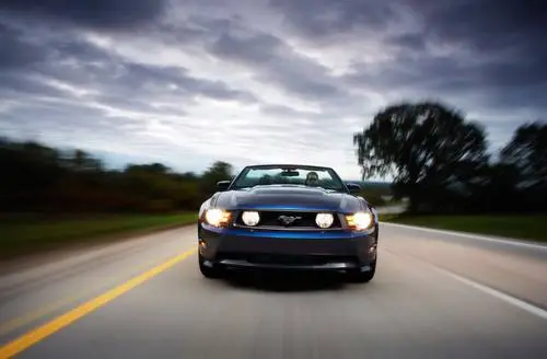 2010 Ford Mustang Wall Poster picture 99666