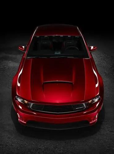 2010 Saleen Ford Mustang S281 Wall Poster picture 99700