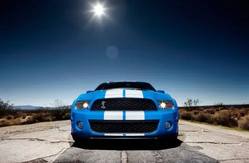 2010 Ford Shelby GT500 Protected Face mask - idPoster.com