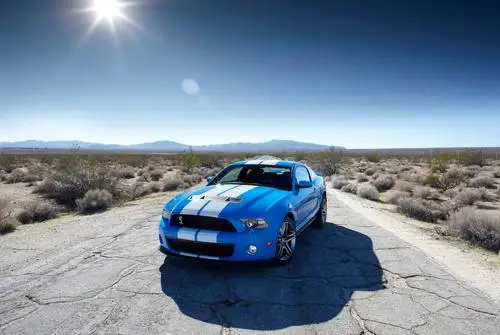 2010 Ford Shelby GT500 Protected Face mask - idPoster.com
