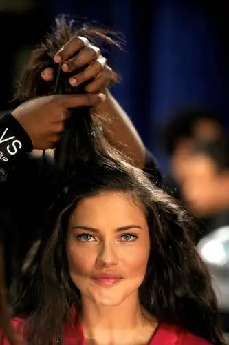 Adriana Lima Wall Poster picture 119347