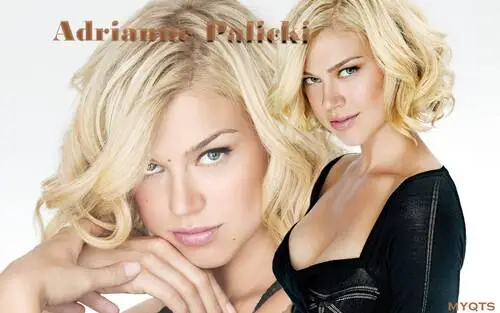 Adrianne Palicki Wall Poster picture 93714