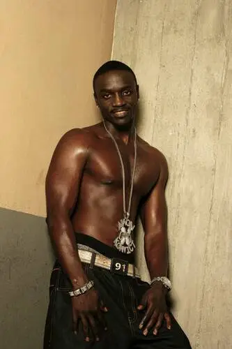 Akon Wall Poster picture 905979