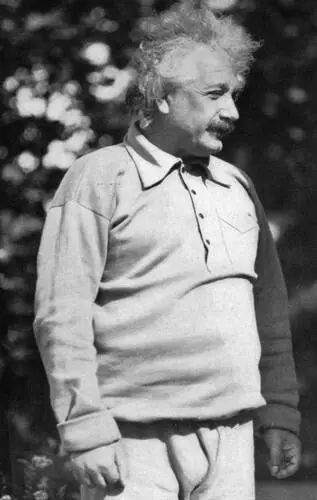Albert Einstein Fridge Magnet picture 478179