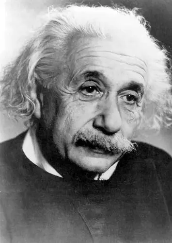 Albert Einstein Fridge Magnet picture 478181