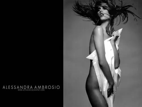 Alessandra Ambrosio White T-Shirt - idPoster.com