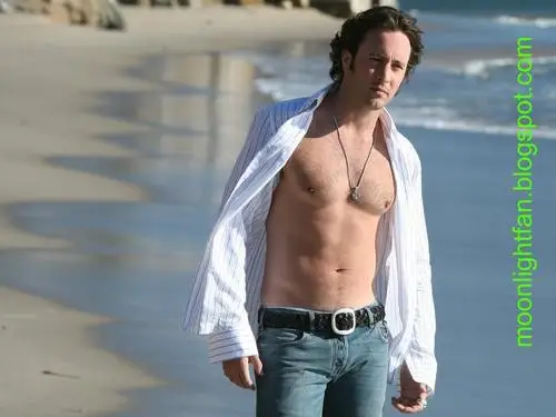 Alex O'Loughlin Wall Poster picture 73279