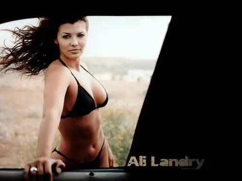 Ali Landry Wall Poster picture 126979