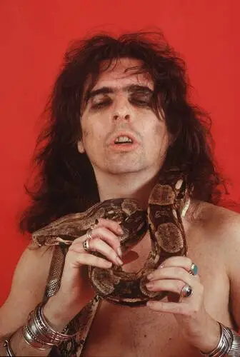 Alice Cooper Wall Poster picture 906272
