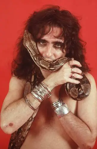 Alice Cooper Wall Poster picture 906273