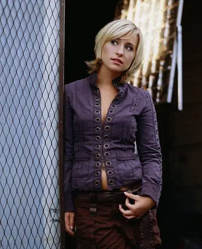 Allison Mack Wall Poster picture 79127