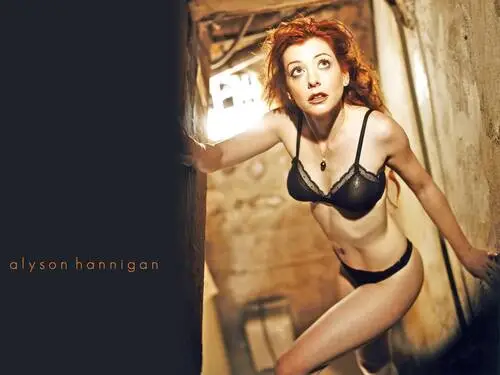 Alyson Hannigan Wall Poster picture 127123