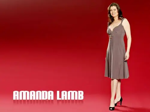 Amanda Lamb Fridge Magnet picture 172152