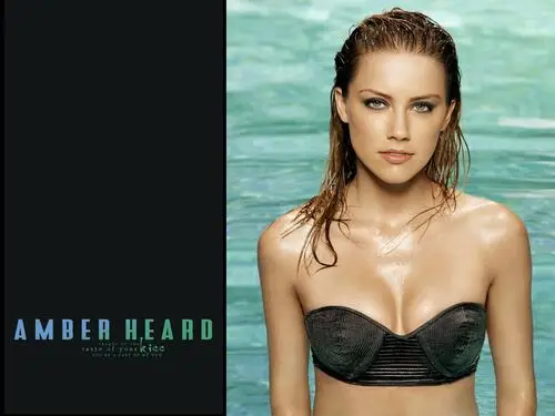 Amber Heard Women's Colored  Long Sleeve T-Shirt - idPoster.com