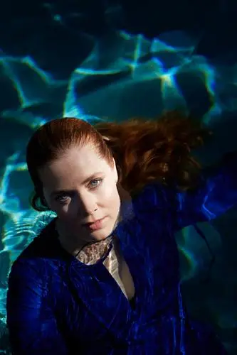 Amy Adams Wall Poster picture 18111