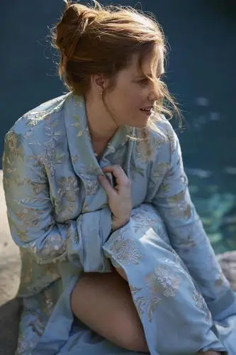 Amy Adams Wall Poster picture 18113