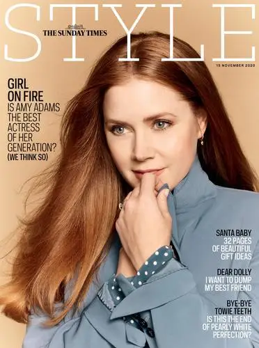Amy Adams Wall Poster picture 18114
