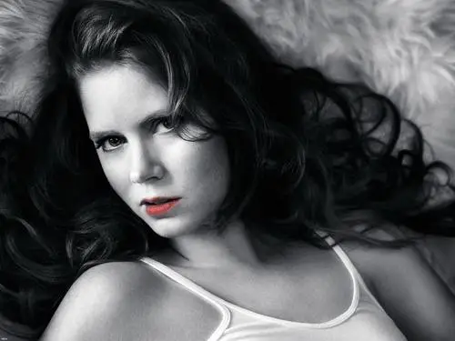 Amy Adams Wall Poster picture 127299