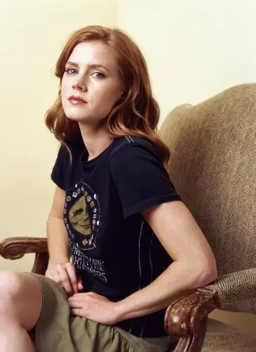 Amy Adams Wall Poster picture 564304