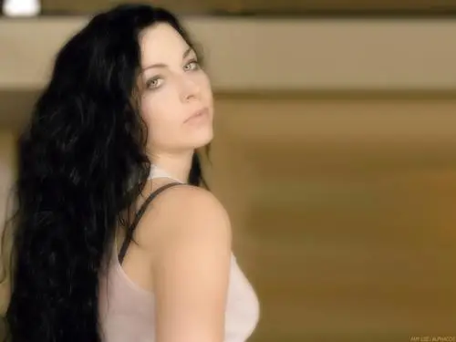 Amy Lee Wall Poster picture 127328