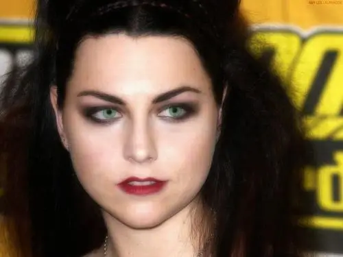 Amy Lee Jigsaw Puzzle picture 127347