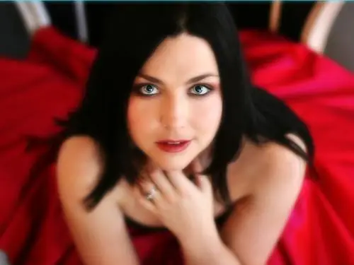 Amy Lee Jigsaw Puzzle picture 127367