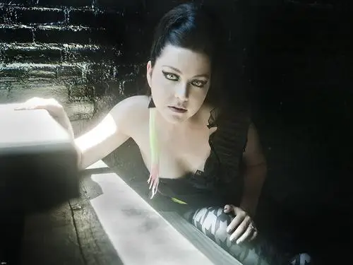 Amy Lee Jigsaw Puzzle picture 178217