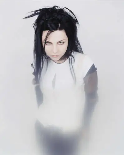 Amy Lee Jigsaw Puzzle picture 186230