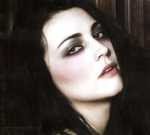 Amy Lee Wall Poster picture 186237