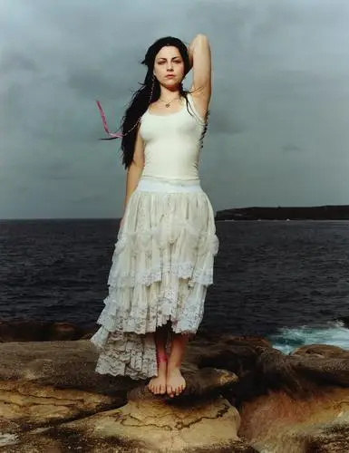 Amy Lee Jigsaw Puzzle picture 2154