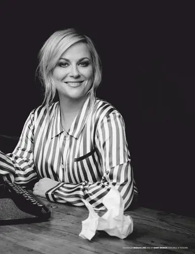 Amy Poehler Jigsaw Puzzle picture 908195