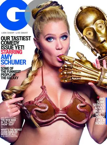 Amy Schumer Wall Poster picture 406290