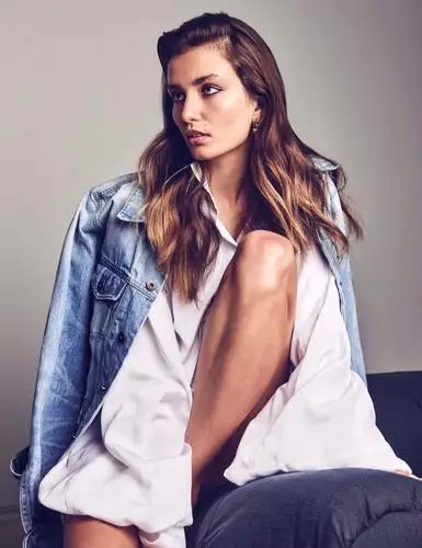Andreea Diaconu Wall Poster picture 700263