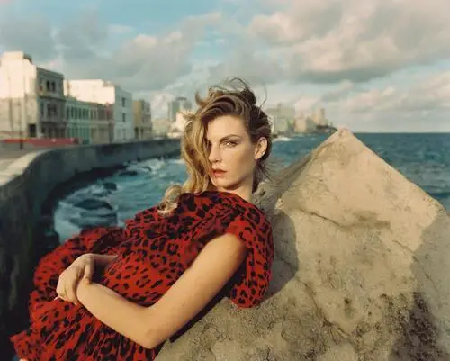 Angela Lindvall Wall Poster picture 343677