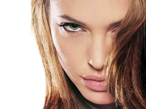Angelina Jolie Wall Poster picture 127554