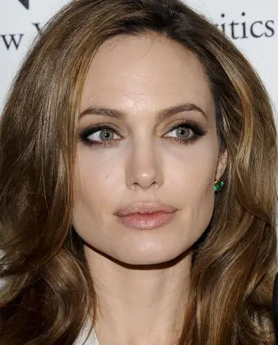 Angelina Jolie Fridge Magnet picture 132199