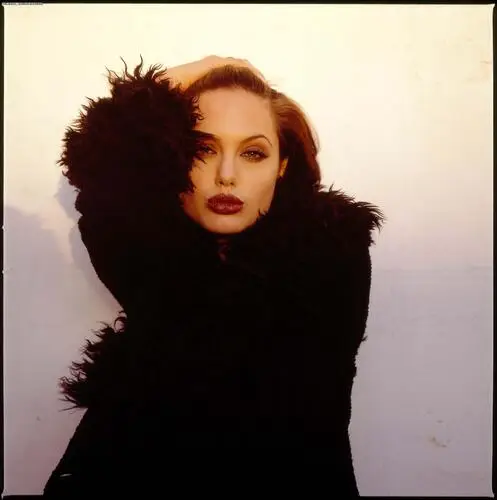 Angelina Jolie Fridge Magnet picture 21168