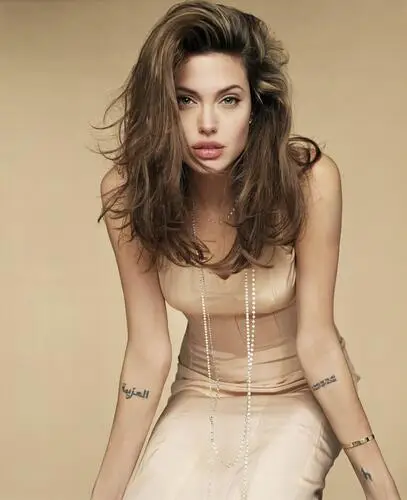 Angelina Jolie Wall Poster picture 2346
