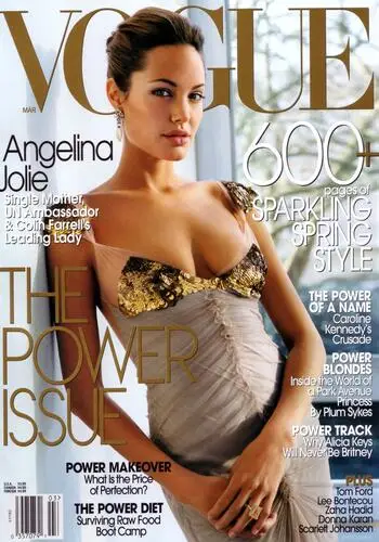 Angelina Jolie Fridge Magnet picture 2393