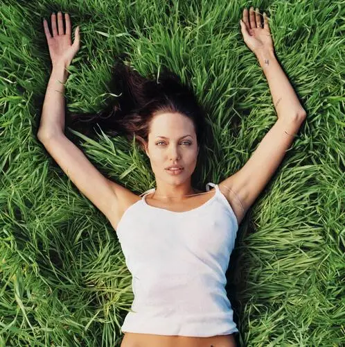 Angelina Jolie Jigsaw Puzzle picture 24622